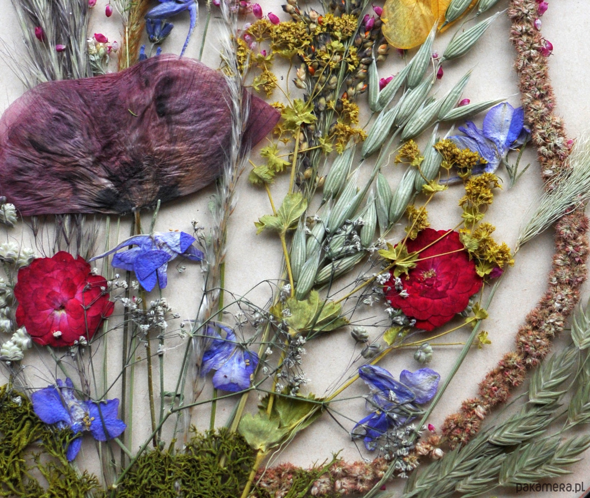 Ozdoby na ścianę Piękna Nasza Polska Cała 4