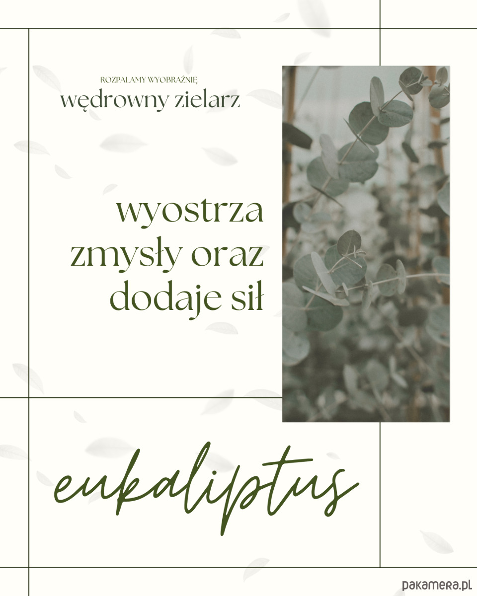 świeczniki i świece Wędrowny zielarz 2