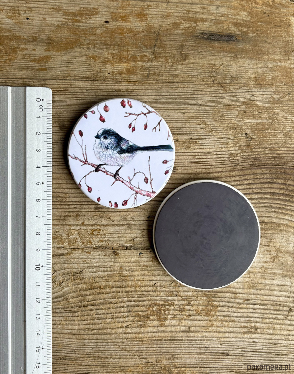 magnesy Raniuszek- Magnes ceramiczny- Ilustracja- Ptaki 2
