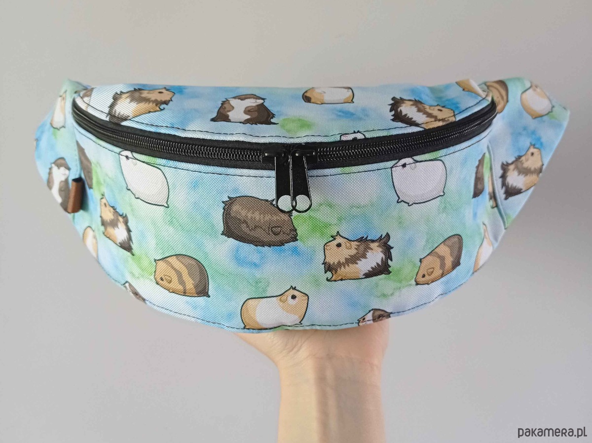 saszetka nerka Nerka świnki morskie na niebieskim tle 8