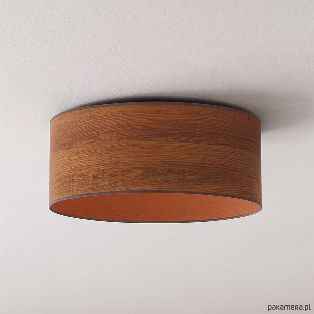 plafony Plafon do przedpokoju w nowoczesnym designie DUBAJ ECO fi - 30 cm 2