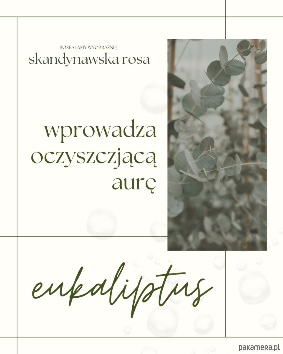 świeczniki i świece Skandynawska rosa 5