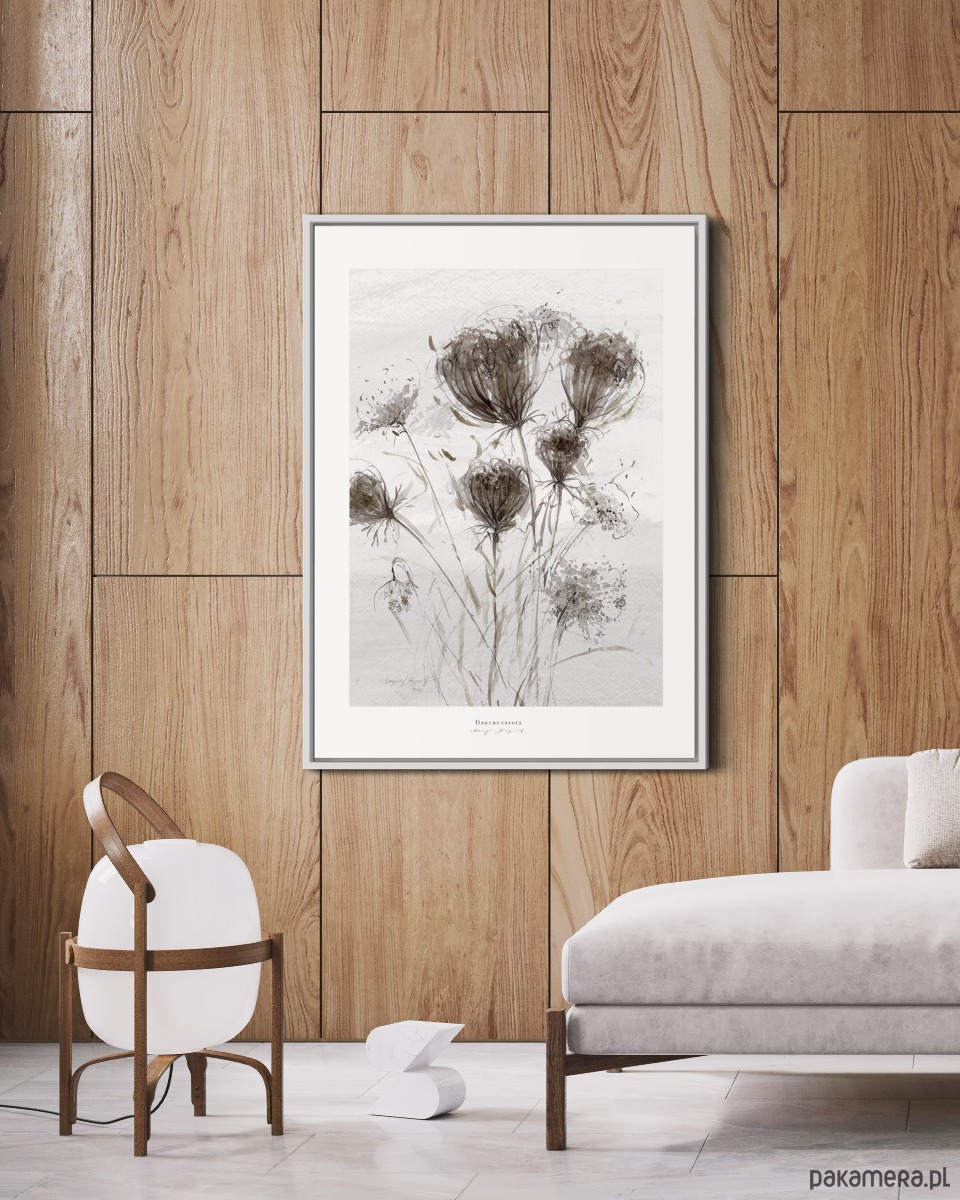 plakaty Plakat Dzika marchew / Fine Art Print 3