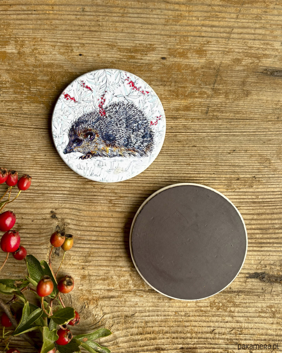 magnesy Jeżyk- Magnes ceramiczny- Ilustracja- Zwierzaki 1