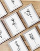 grafiki i ilustracje Chaber - grafika botaniczna w oprawie 1