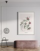 grafiki i ilustracje Koniczyna /Fine Art print 1