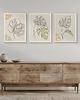 plakaty Zestaw 3 stylowych plakatów w stylu Boho, rośliny, monstera, line art. 3