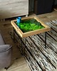 stoliki kawowe Stolik z Mchem i Świetlikami LED  50x50 cm  Szkło Hartowane 4