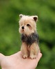 figurki i rzeźby York Terrier Miniaturka 1