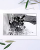 fotografia Fotografia z passe-partout; Jojo 2