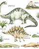 naklejki ścienne do pokoju dziecka Naklejki Ścienne Dinozaury - Brontozaur i Stegozaur A212 1