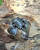 bransoletki wire wrapping Ogród - bransoletka regulowana 2