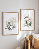 obrazy Białe Piwonie - Zestaw dwóch grafik 6