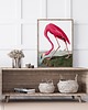 plakaty Plakat Flaming vintage 3