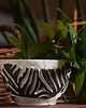 doniczki ZEBRA_osłonka/miska 4