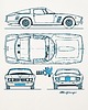 t-shirty męskie Koszulka ISO GRIFO tshirt 1