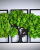dodatki - różne Tryptyk mech chrobotek żywy obraz klon dekoracja ażurowa 2