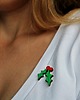 przypinki Ostrokrzew Pin 1