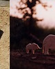 puzzle dla dzieci Słoń afrykański / African elephant 5
