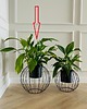 kwietniki Kwietnik metalowy loft design Ball Czarny śr. 43cm 3