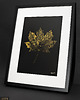 obrazy Monotypia Botaniczna. Złoty Liść Klonu. Obraz w Ramie A3 1