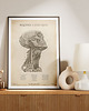 plakaty Plakat Mięśnie i Żyły Szyi Vintage 2