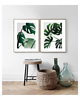 plakaty DWA PLAKATY galeria botaniczne monstera 2