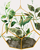 grafiki i ilustracje Grafiki botaniczne | 50x70 cm 1