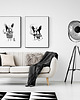 grafiki i ilustracje Grafika z Buldogiem Francuskim 50x70 cm 9
