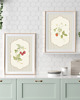 grafiki i ilustracje DWA PLAKATY galeria botaniczne owoce 2