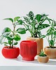 dekoracje świetlne Lampa 71L01.RED / bezprzewodowa / dotykowa 1