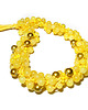 kolie Lime 1
