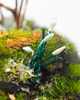 świeczniki i świece Świeca prezentowa "The Early Spring Story" z albumem- zapach przedwiośnia 6