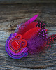 broszki Barwna broszka soutache z piórami 6
