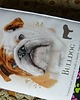 notatniki i albumy Notatnik z Pupilem #3 3