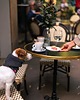 ubranka dla zwierząt WOOLDOG komin Supreme (Głęboka Stal)  merynos 3