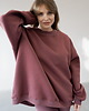 bluza bez kaptura damska Bluza Biggie Rose Brown 4