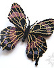 broszki Czarny motyl, broszka, beading 2
