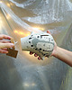 figurki i rzeźby Świnka Skarbonka PIGGYB 2.0 painted shiny 3