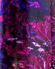 sukienki maxi damskie Różowa SUKIENKA maxi dwustronny dekolt, autorski print rybki 100% wiskoza 8