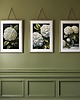 grafiki i ilustracje ZESTAW PLAKATÓW botaniczne, hortensja akwarela 4