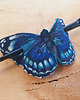 spinki i klamry do włosów Skórzana spinka  blue monarch 5