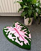dywany Dywan w kształcie liścia kaladium, Caladium Pink Splash 1