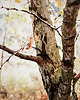 fotografia Zestaw 8 fotografii 6
