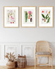 grafiki i ilustracje PLAKATY  botaniczne vintage ryciny kwiaty 7