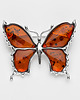 broszki Duża broszka motyl bursztynowy 2