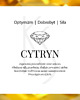 srebrne naszyjniki Aura - Srebrny naszyjnik z cytrynem 1