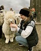 opaski do włosów Bardzo ciepła czarna opaska merino na wiatr 2