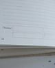 notatniki i albumy Pamiętnik ciąży  - Dziennik - Planner - Ciąża 11