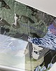 grafiki i ilustracje Kryjówka 2